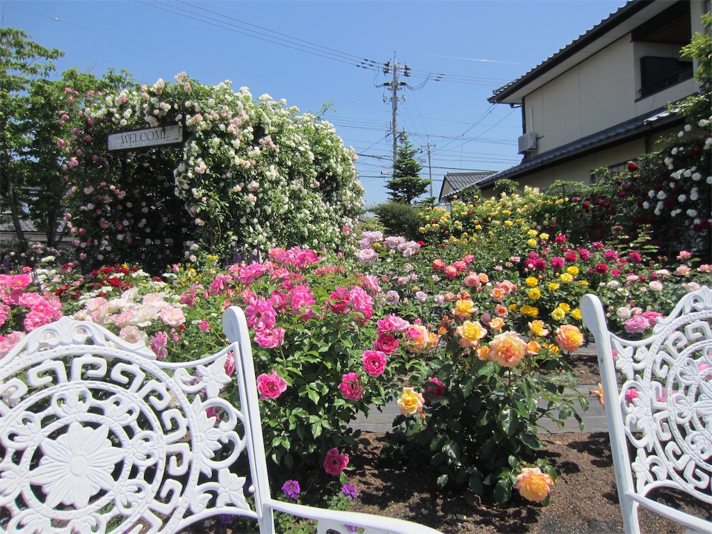 f:id:edwalk:20190525212039j:image