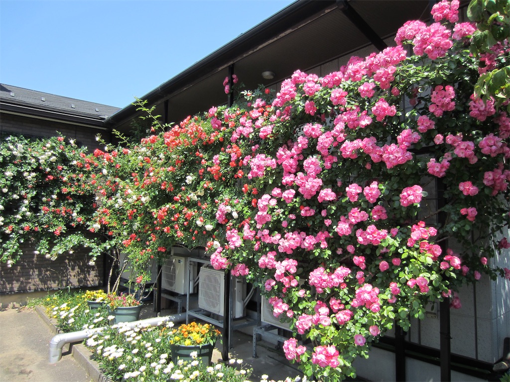 f:id:edwalk:20190525212244j:image