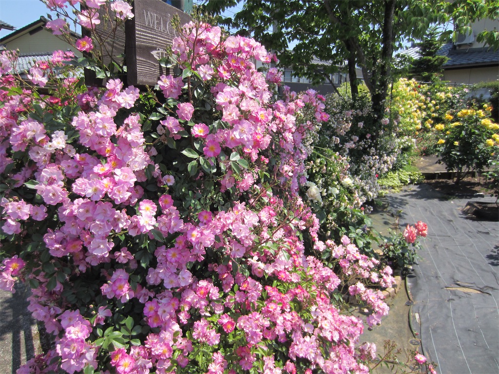 f:id:edwalk:20190525212940j:image