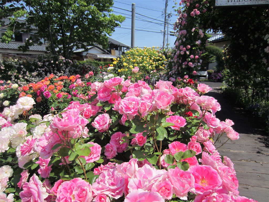 f:id:edwalk:20190525213054j:image