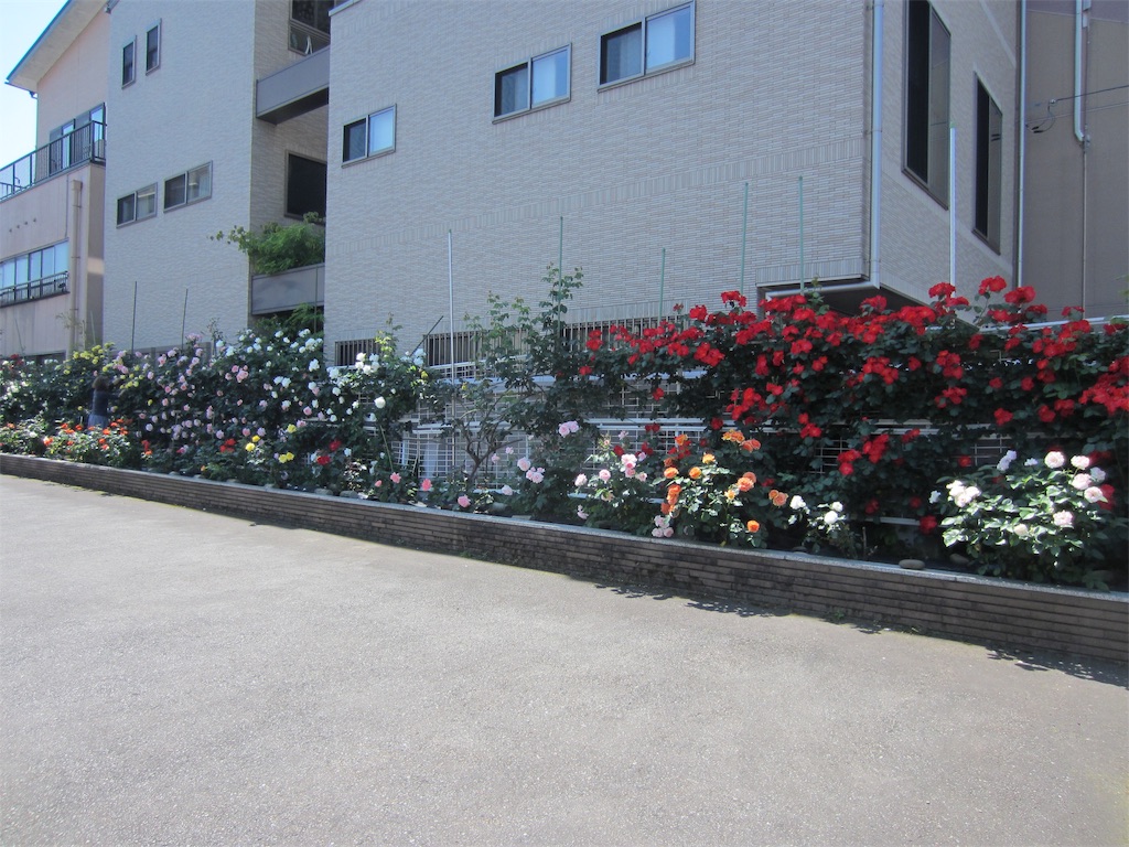 f:id:edwalk:20190525213539j:image