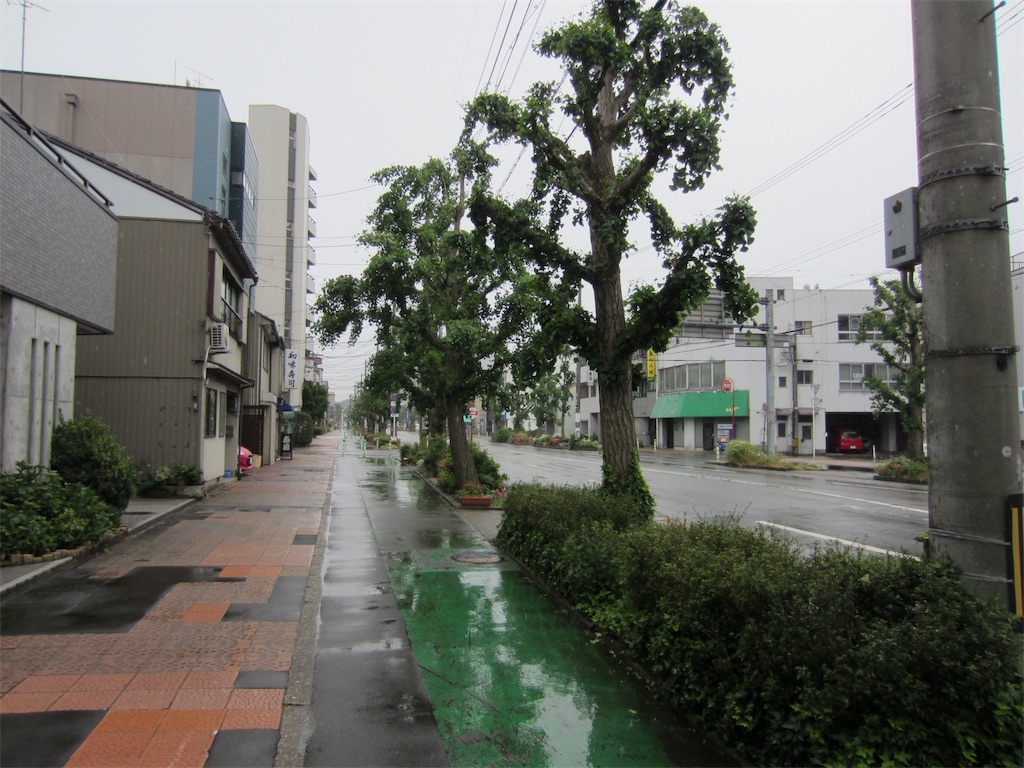 f:id:edwalk:20190528201215j:image