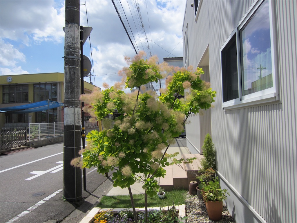 f:id:edwalk:20190529110732j:image