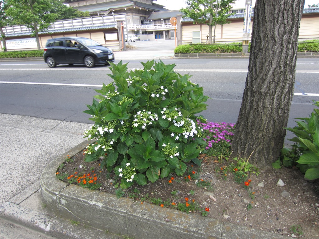 f:id:edwalk:20190604103304j:image f:id:edwalk:20190604103304j:image