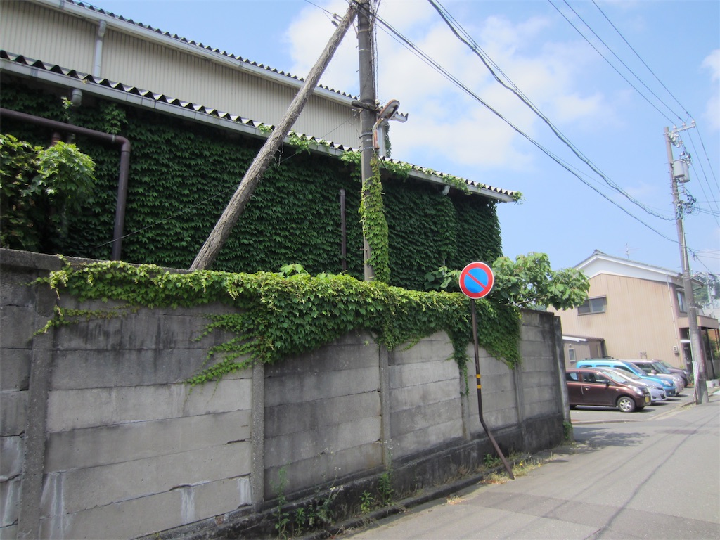 f:id:edwalk:20190606145827j:image f:id:edwalk:20190606145827j:image