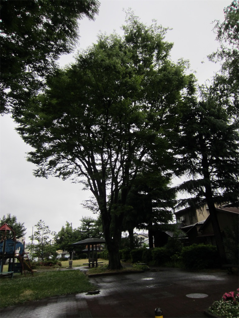 f:id:edwalk:20190608114318j:image