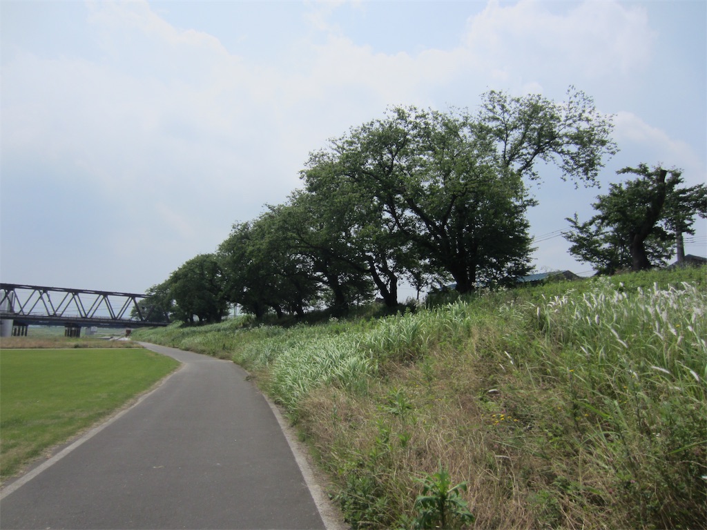 f:id:edwalk:20190620120541j:image