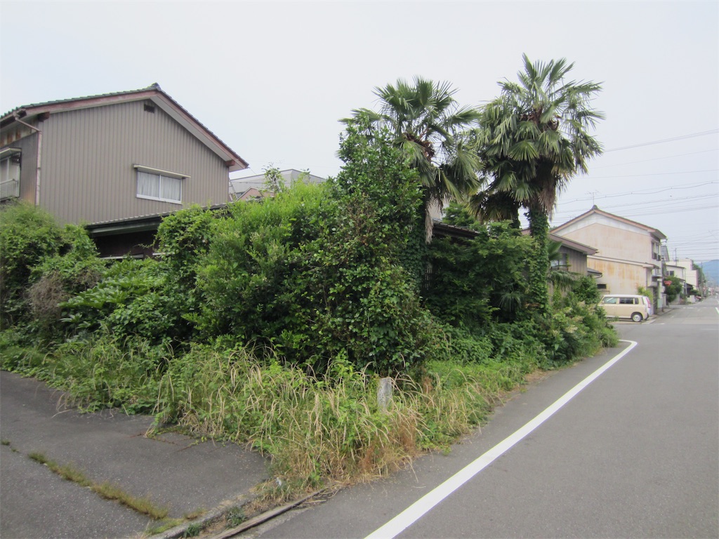 f:id:edwalk:20190622211951j:image