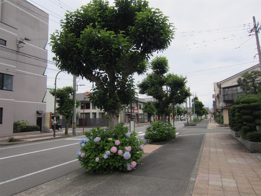 f:id:edwalk:20190624054407j:image f:id:edwalk:20190624054407j:image
