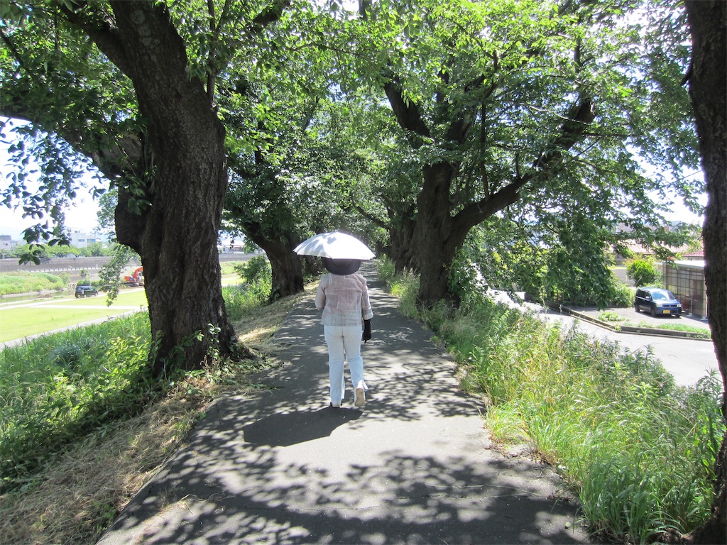 f:id:edwalk:20190626214626j:image
