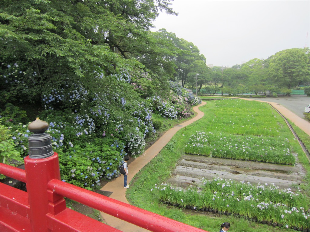 f:id:edwalk:20190702124604j:image