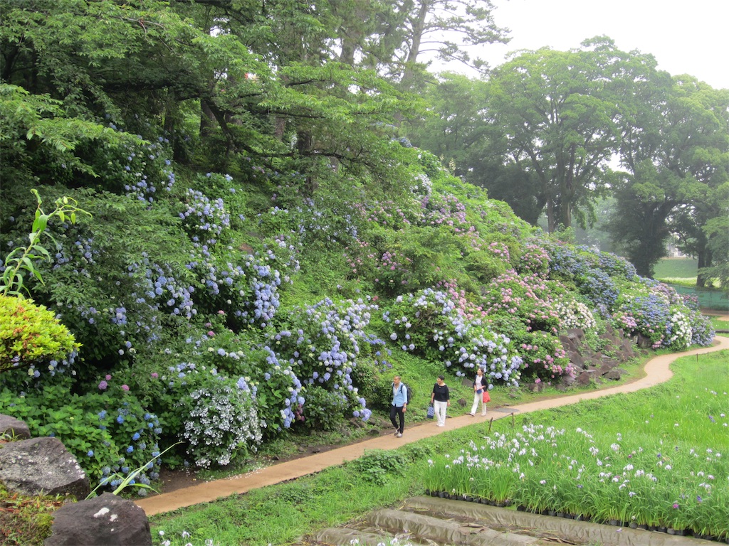 f:id:edwalk:20190702124609j:image