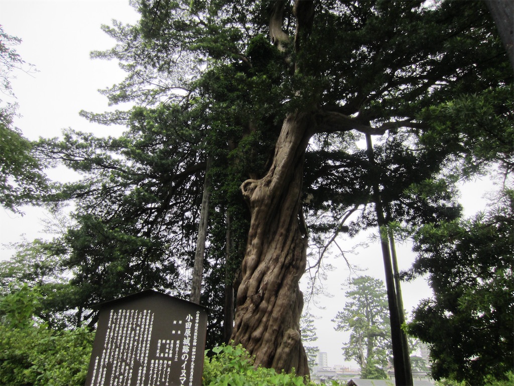 f:id:edwalk:20190702133849j:image