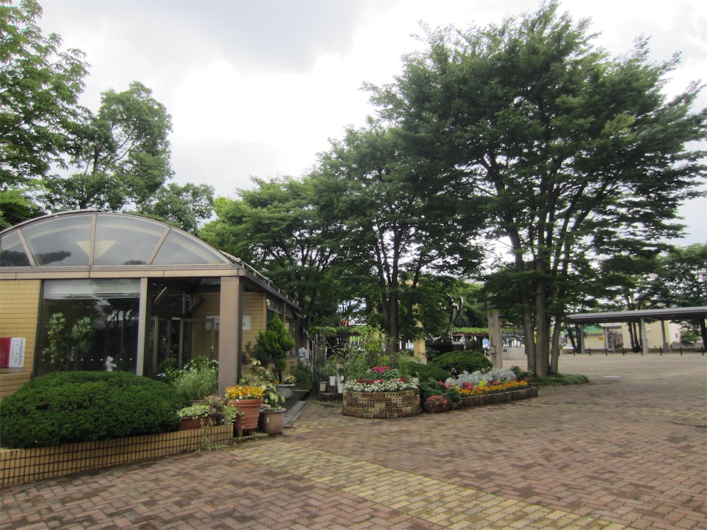f:id:edwalk:20190704230232j:image