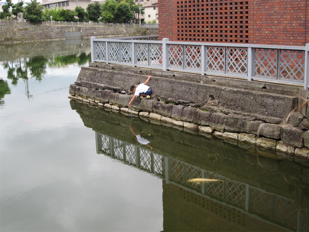 f:id:edwalk:20190707204106j:image