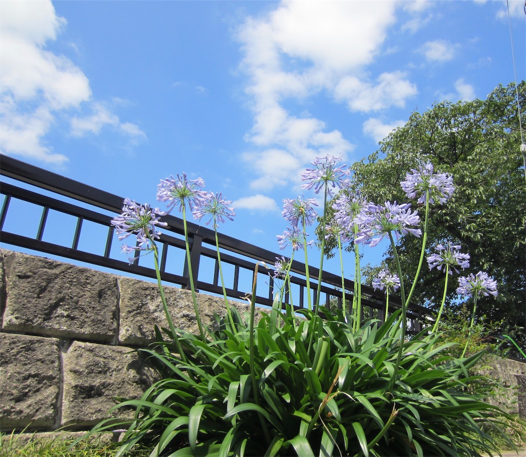 f:id:edwalk:20190710141216j:image