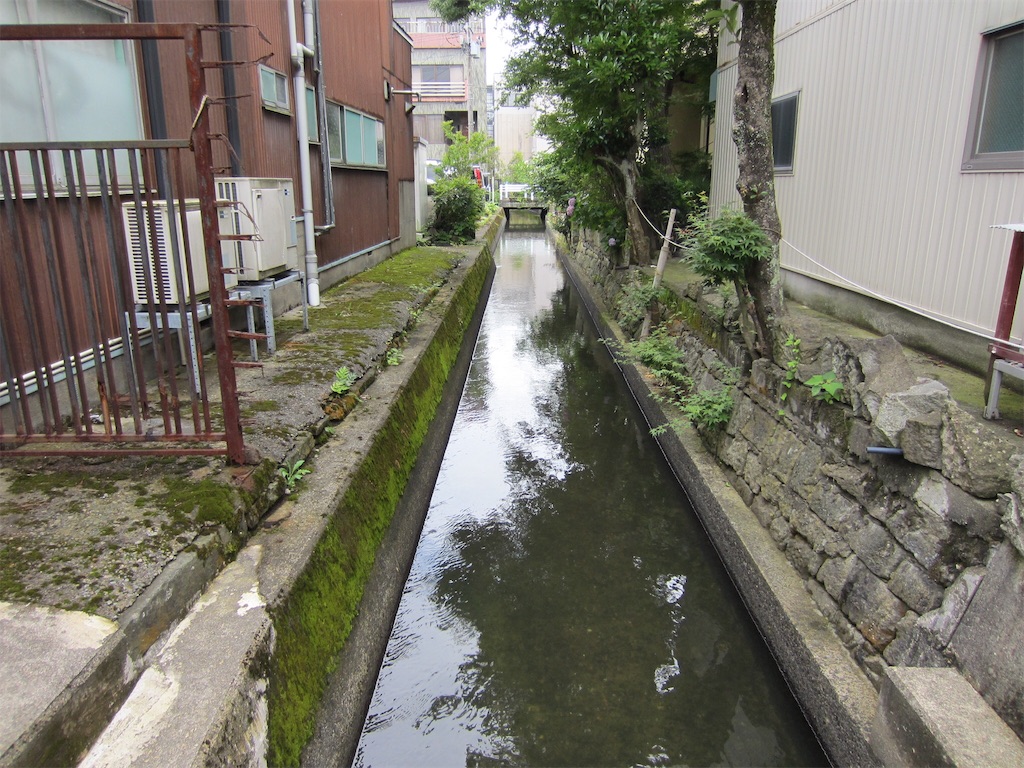 f:id:edwalk:20190713210437j:image f:id:edwalk:20190713210437j:image