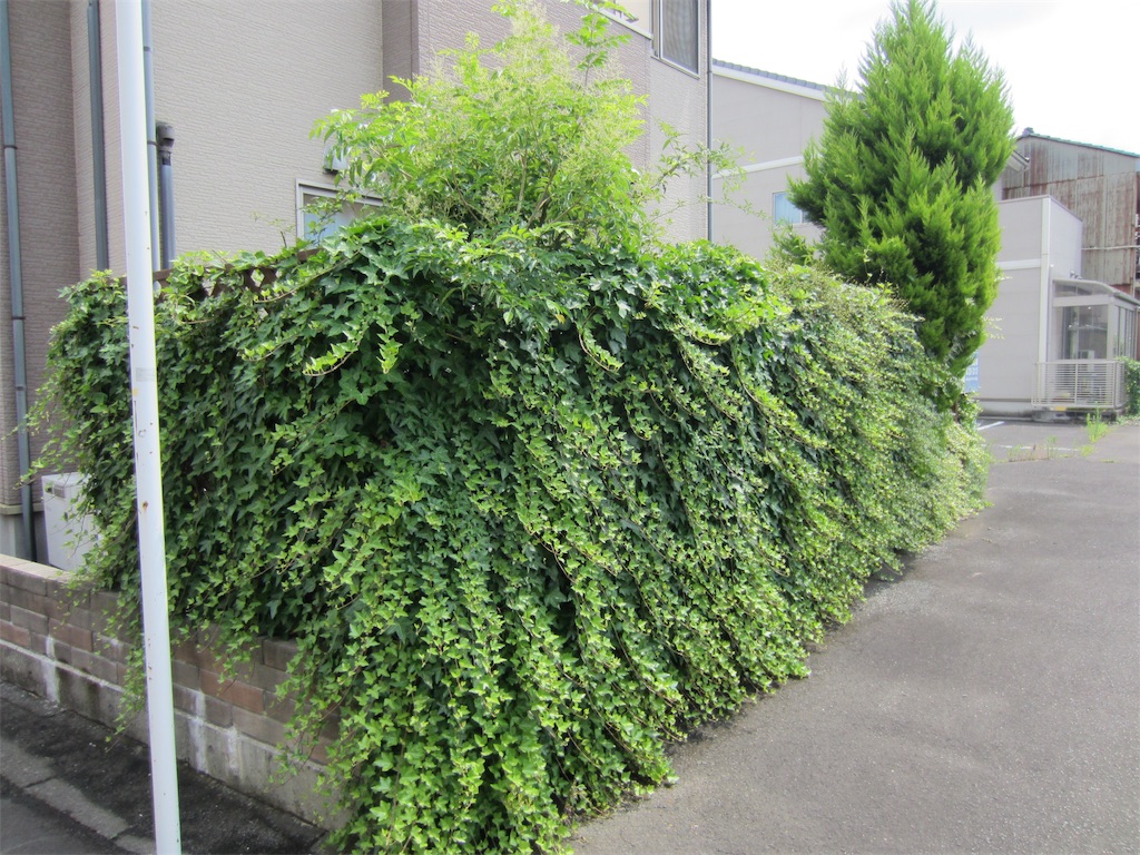 f:id:edwalk:20190723205334j:image
