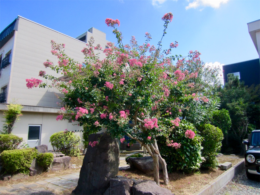 f:id:edwalk:20190826115404j:image f:id:edwalk:20190826115404j:image