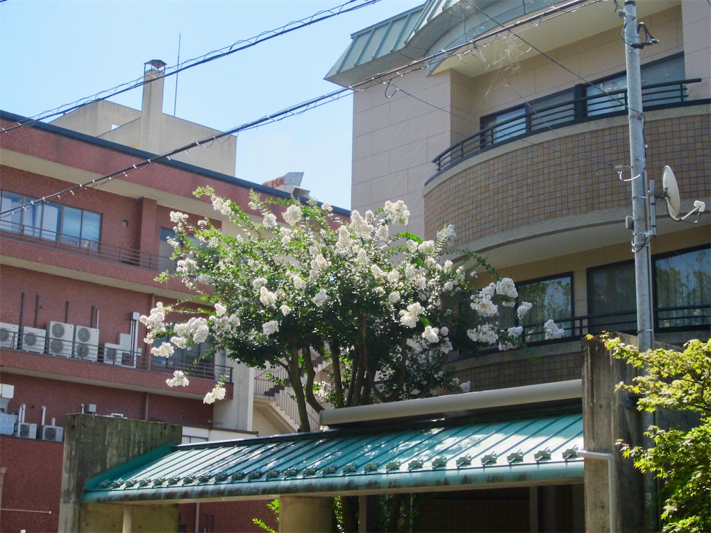 f:id:edwalk:20190826115408j:image f:id:edwalk:20190826115408j:image