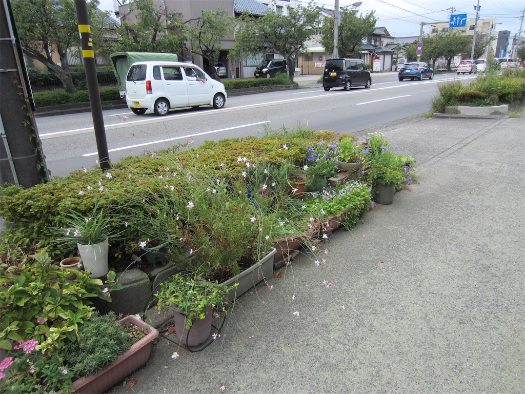 f:id:edwalk:20190913144505j:image