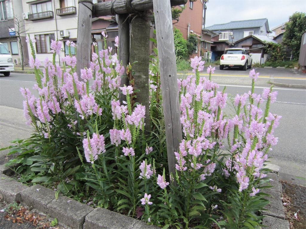 f:id:edwalk:20190913144512j:image