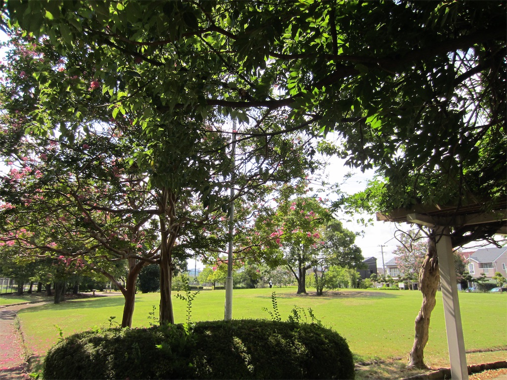 f:id:edwalk:20190916121155j:image