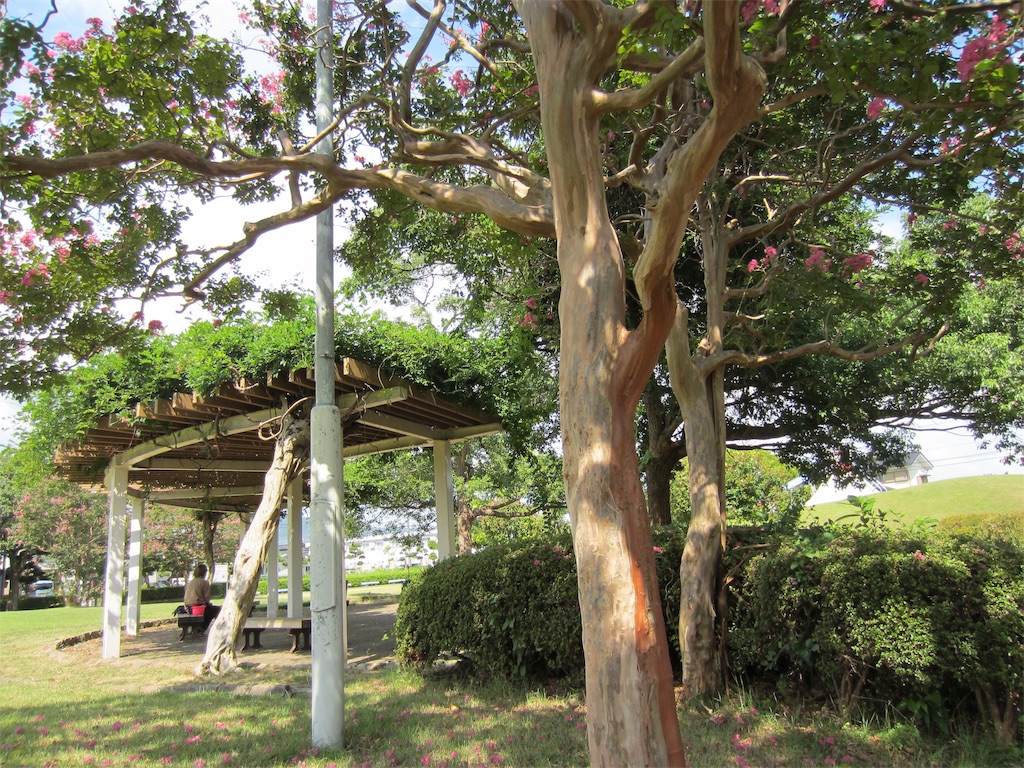 f:id:edwalk:20190916121417j:image