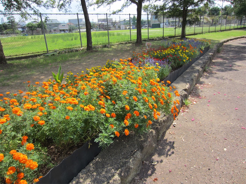 f:id:edwalk:20190916121806j:image