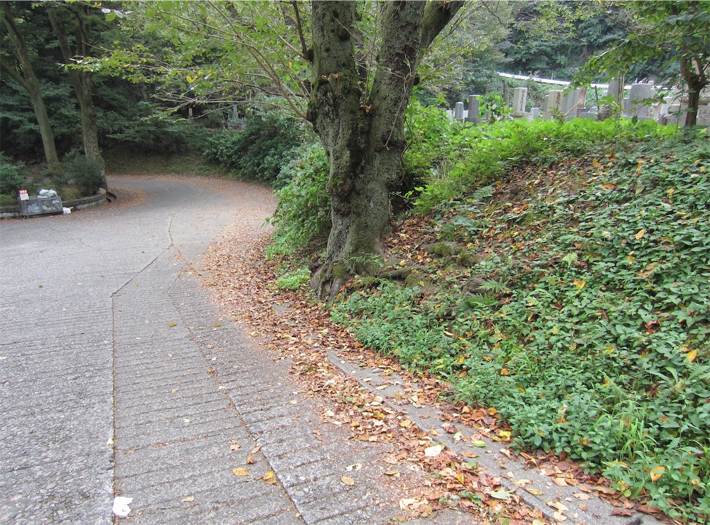 f:id:edwalk:20190917184808j:image