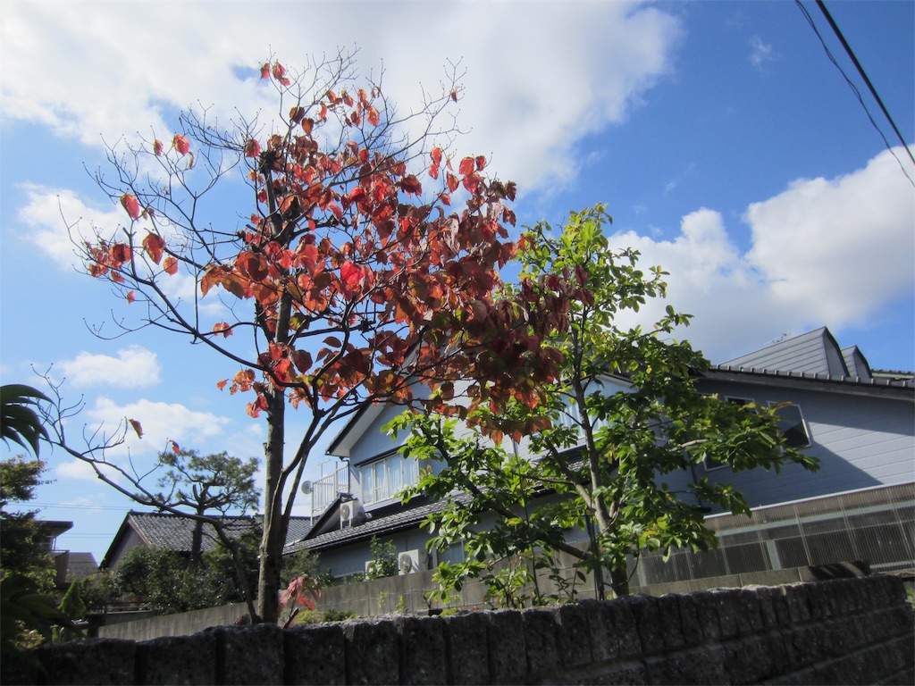 f:id:edwalk:20191015114926j:image