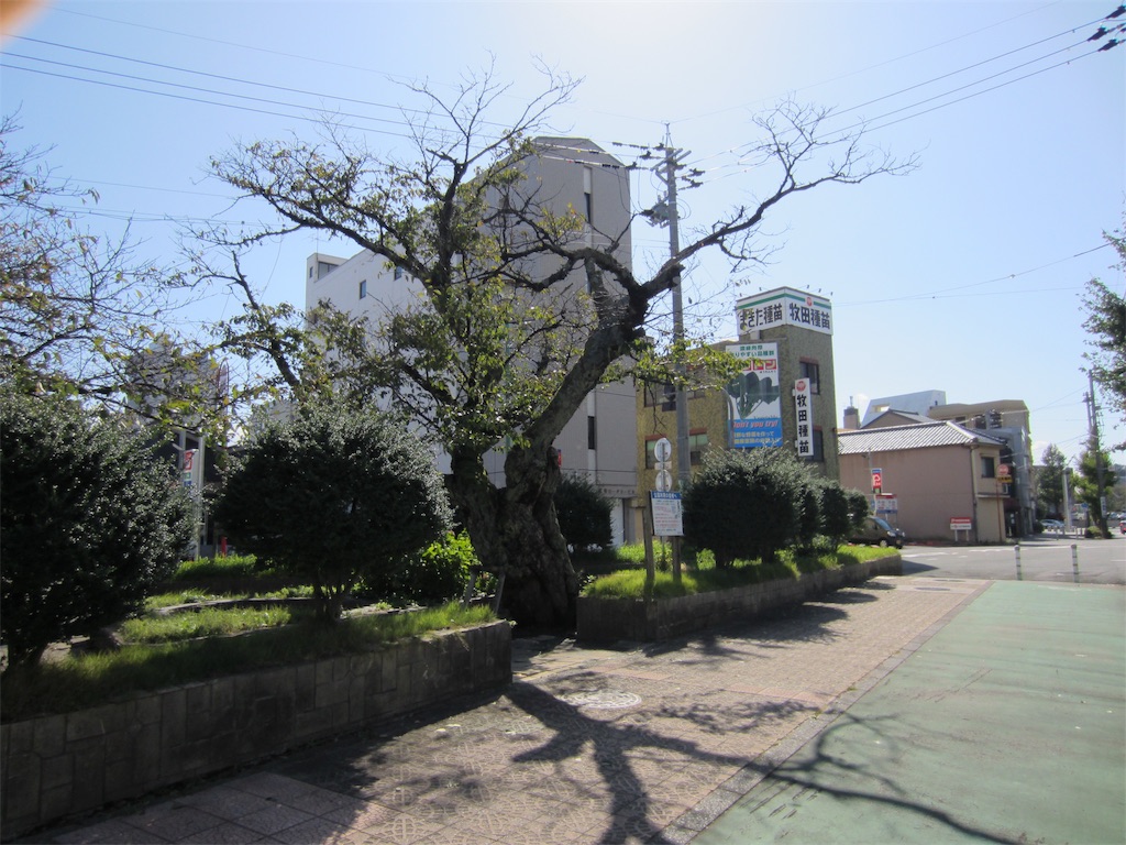 f:id:edwalk:20191015120404j:image