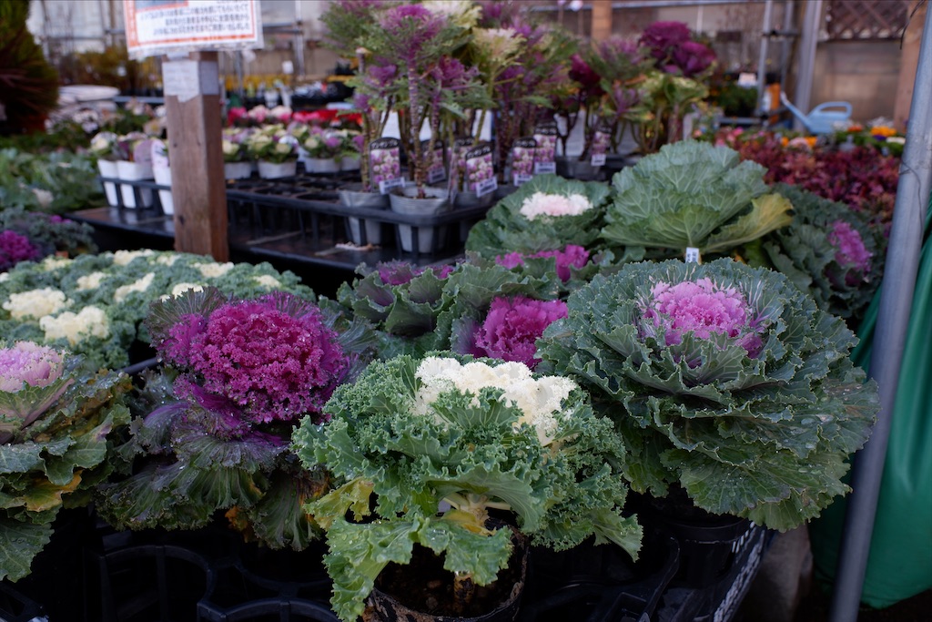 f:id:edwalk:20191214224510j:image f:id:edwalk:20191214224510j:image