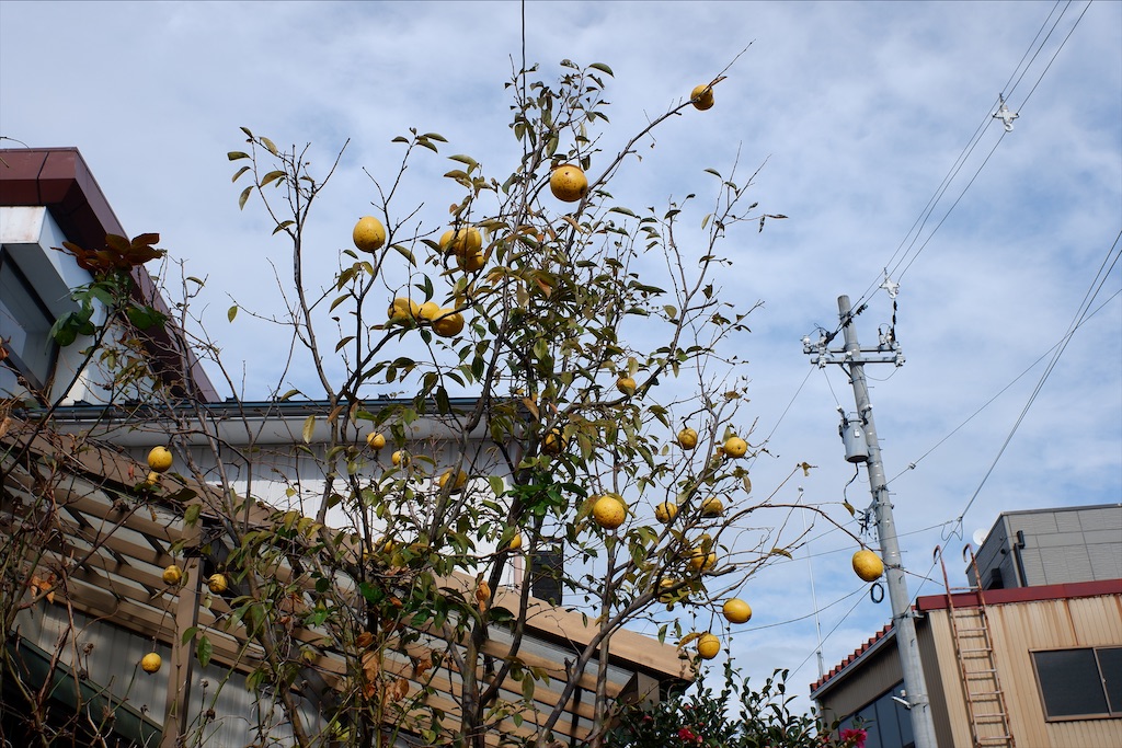 f:id:edwalk:20191215122544j:image f:id:edwalk:20191215122544j:image