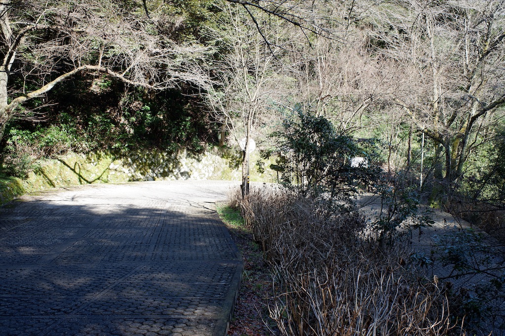 f:id:edwalk:20200221171842j:image f:id:edwalk:20200221171842j:image