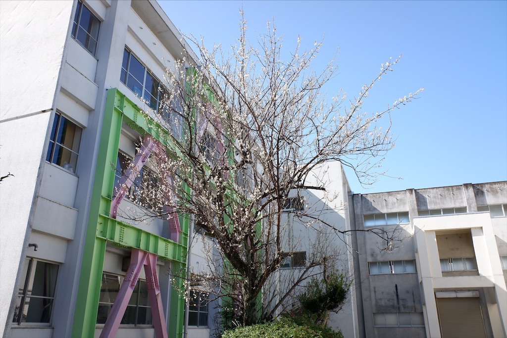 f:id:edwalk:20200221172331j:image f:id:edwalk:20200221172331j:image