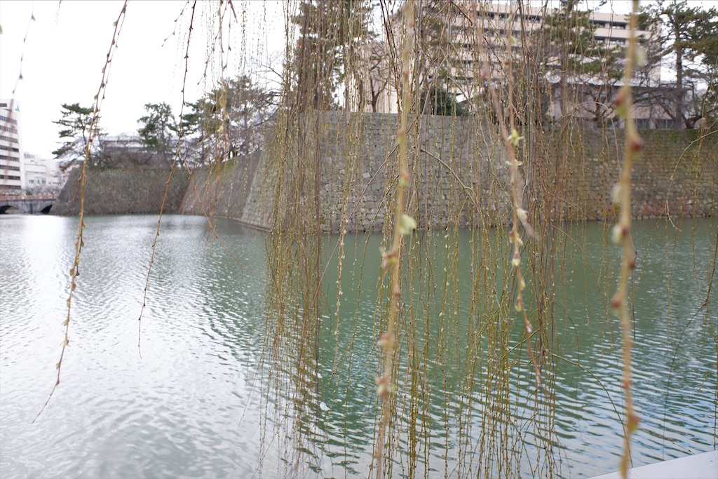 f:id:edwalk:20200228191901j:image
