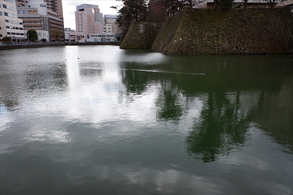 f:id:edwalk:20200228195910j:image