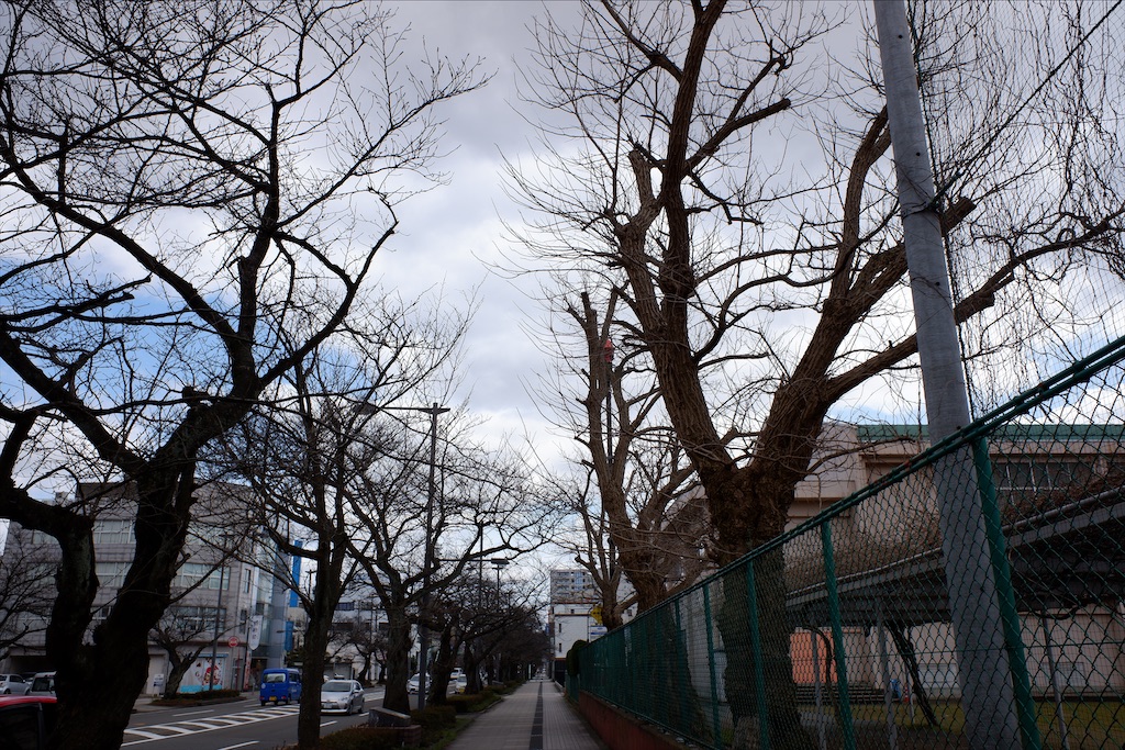f:id:edwalk:20200228195915j:image
