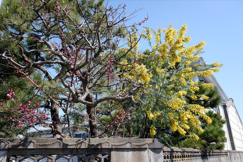 f:id:edwalk:20200309145014j:image