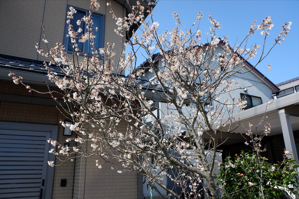 f:id:edwalk:20200313100810j:image