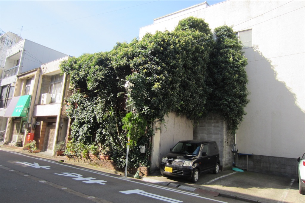 f:id:edwalk:20200313100813j:image