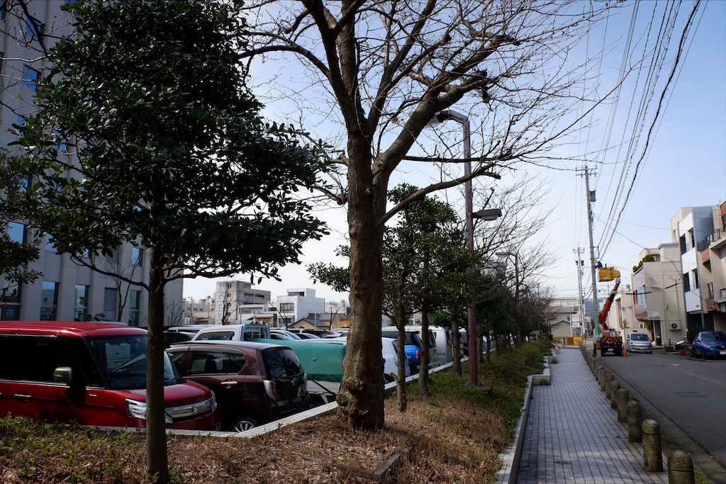 f:id:edwalk:20200313201021j:image