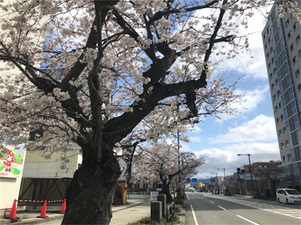 f:id:edwalk:20200329142555j:image f:id:edwalk:20200329142555j:image