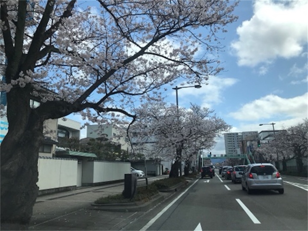 f:id:edwalk:20200329142558j:image f:id:edwalk:20200329142558j:image