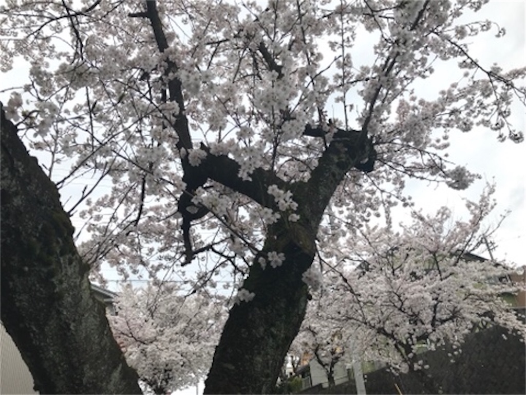 f:id:edwalk:20200401124655j:image f:id:edwalk:20200401124655j:image