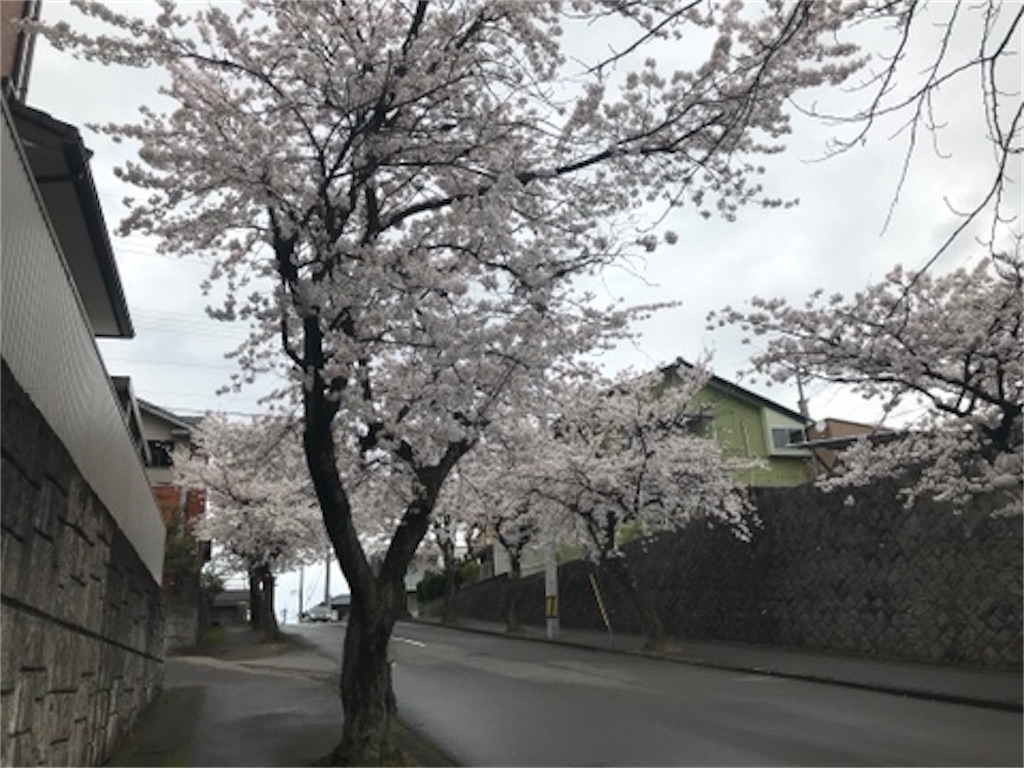 f:id:edwalk:20200401124659j:image f:id:edwalk:20200401124659j:image