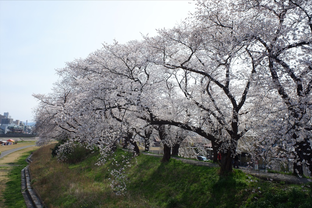 f:id:edwalk:20200403172002j:image f:id:edwalk:20200403172002j:image