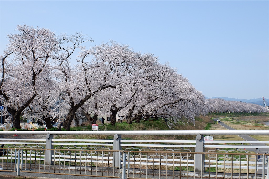 f:id:edwalk:20200403172007j:image f:id:edwalk:20200403172007j:image