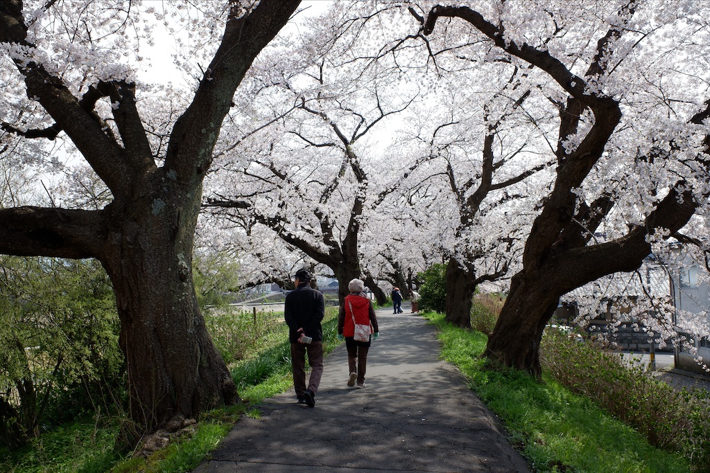 f:id:edwalk:20200403172015j:image f:id:edwalk:20200403172015j:image